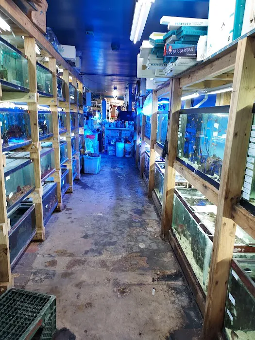Tropical Lagoon Aquarium Picture 9