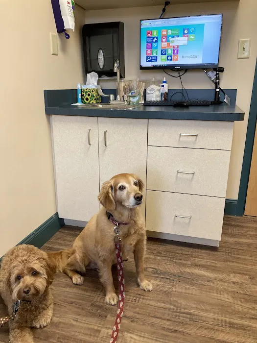 Country Doctor Veterinary Hospital Picture 1