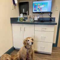 Country Doctor Veterinary Hospital ico