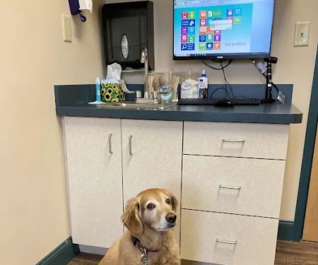 Country Doctor Veterinary Hospital
