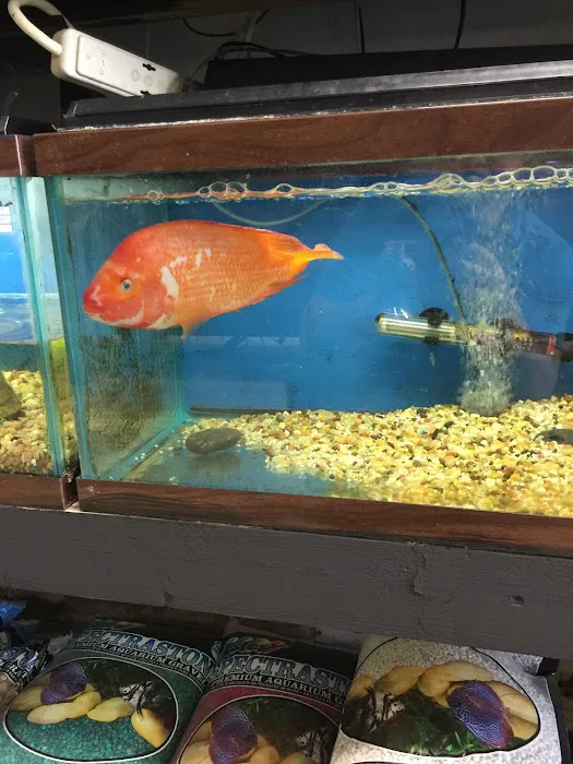 Eden Pets Supplies & Aquarium Picture 1