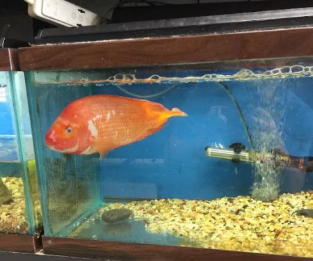 Eden Pets Supplies & Aquarium