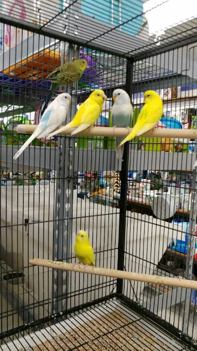 Eden Pets Supplies & Aquarium Picture 6
