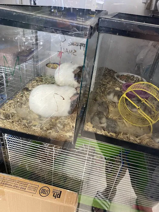 Eden Pets Supplies & Aquarium Picture 8