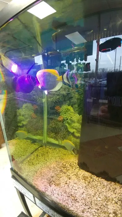 Eden Pets Supplies & Aquarium Picture 9