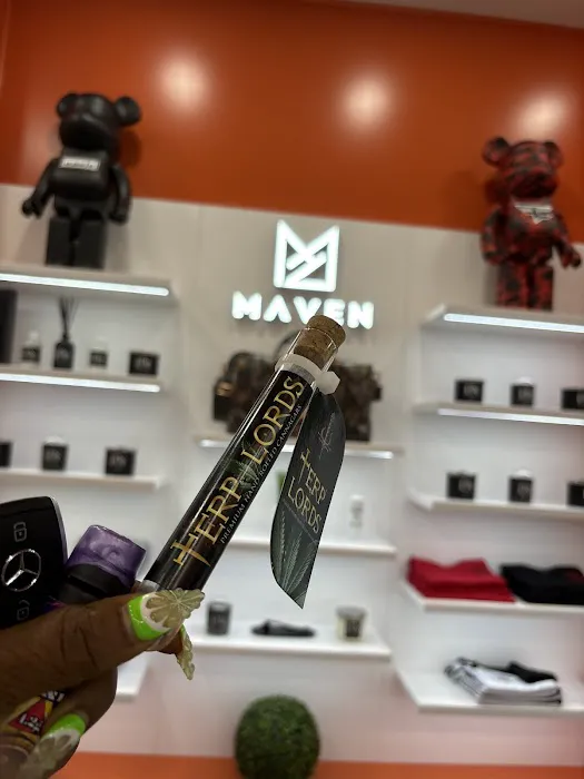 MAVEN Picture 4