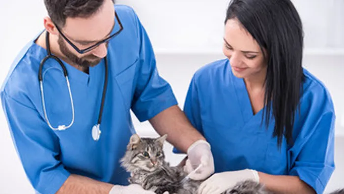 Willow Run Veterinary Clinic Picture 3