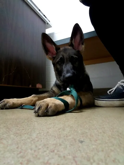 Willow Run Veterinary Clinic Picture 6