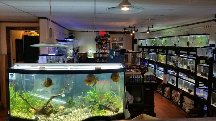 Aquastetics Picture 3