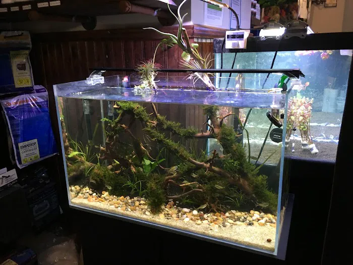 Aquastetics Picture 5