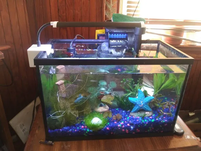 Aquastetics Picture 8