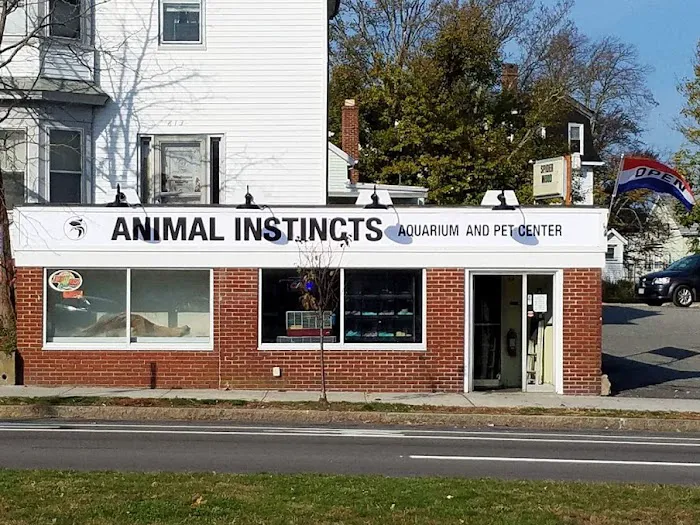 Animal Instincts Aquarium and Pet Center Picture 3