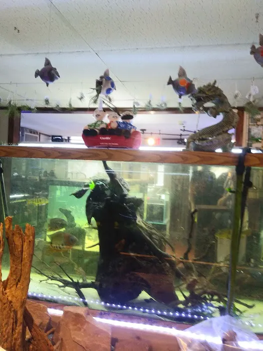 Animal Instincts Aquarium and Pet Center Picture 1