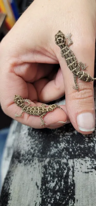 Animal Instincts Aquarium and Pet Center Picture 5