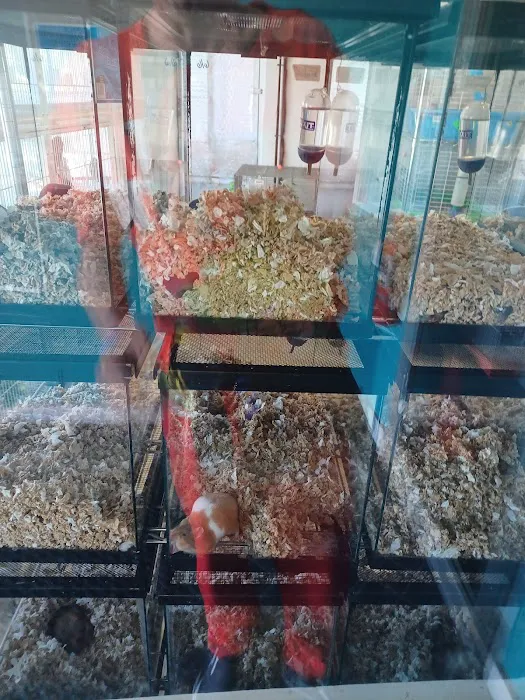Animal Instincts Aquarium and Pet Center Picture 7
