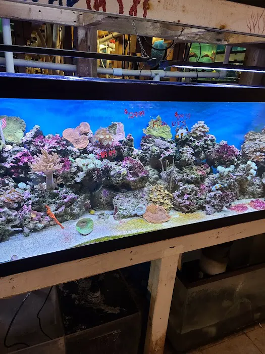Fish Bowl Aquarium and Pet Mart Picture 3