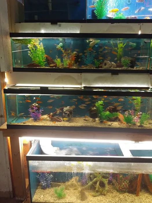 Fish Bowl Aquarium and Pet Mart Picture 4
