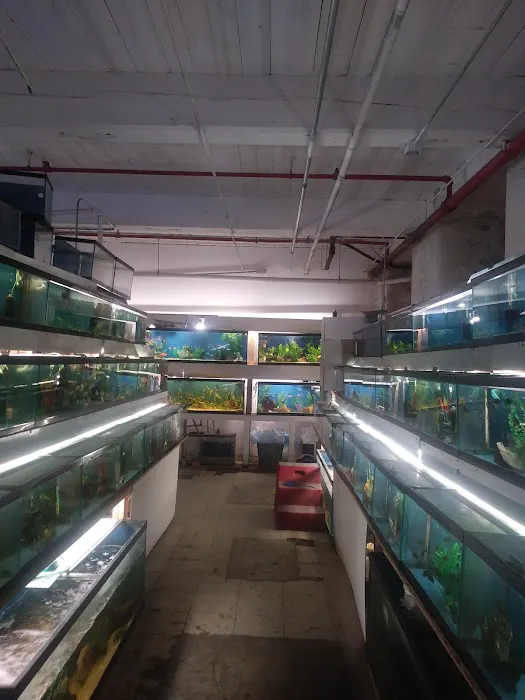 Fish Bowl Aquarium and Pet Mart Picture 7