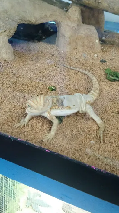Fish Bowl Aquarium and Pet Mart Picture 10