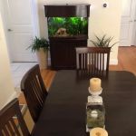 Above & Beyond Aquarium Service