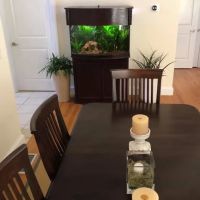 Above & Beyond Aquarium Service ico