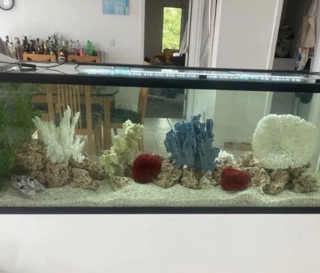 Above & Beyond Aquarium Service Picture 2