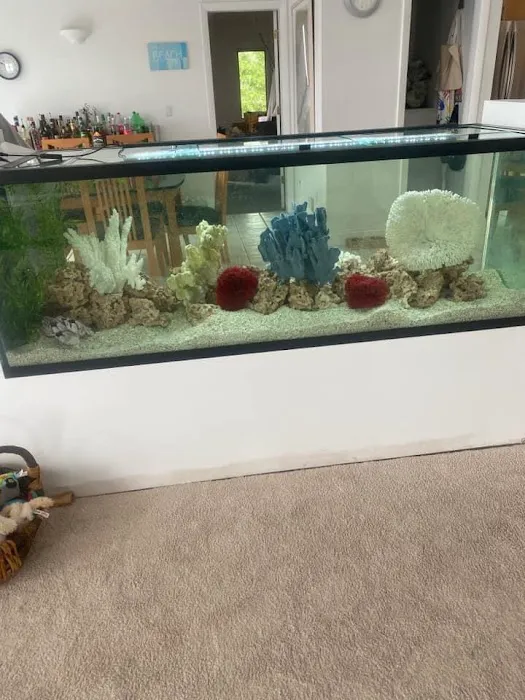 Above & Beyond Aquarium Service Picture 3