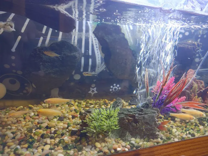 Above & Beyond Aquarium Service Picture 6