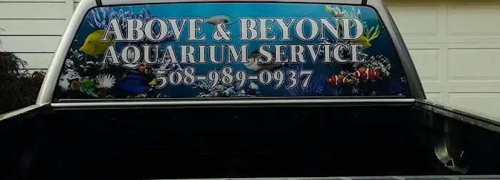 Above & Beyond Aquarium Service Picture 4