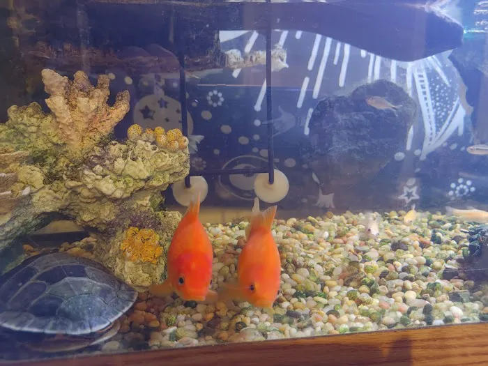 Above & Beyond Aquarium Service Picture 5