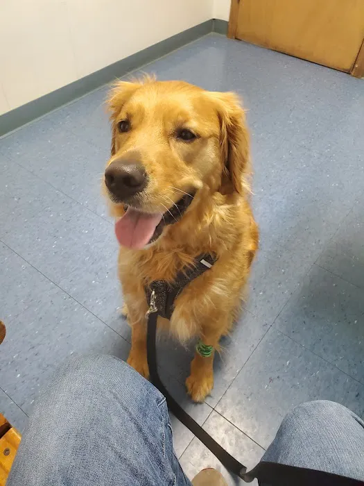 Animal Hospital of Willow Street Picture 6