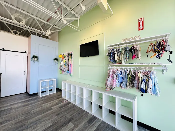 ARCHIE PET CARE SPA Picture 1