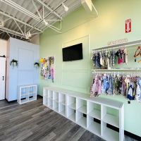 ARCHIE PET CARE SPA ico