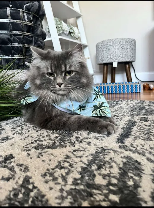 ARCHIE PET CARE SPA Picture 4