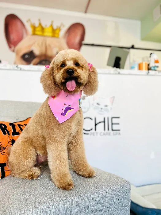 ARCHIE PET CARE SPA Picture 3
