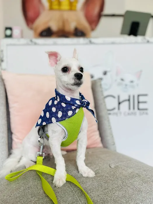 ARCHIE PET CARE SPA Picture 7