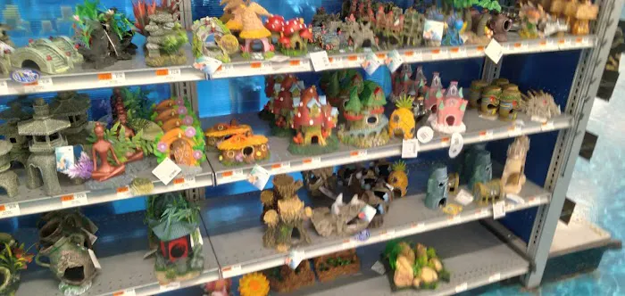 Petco Picture 1
