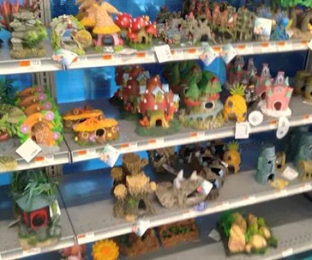 Petco