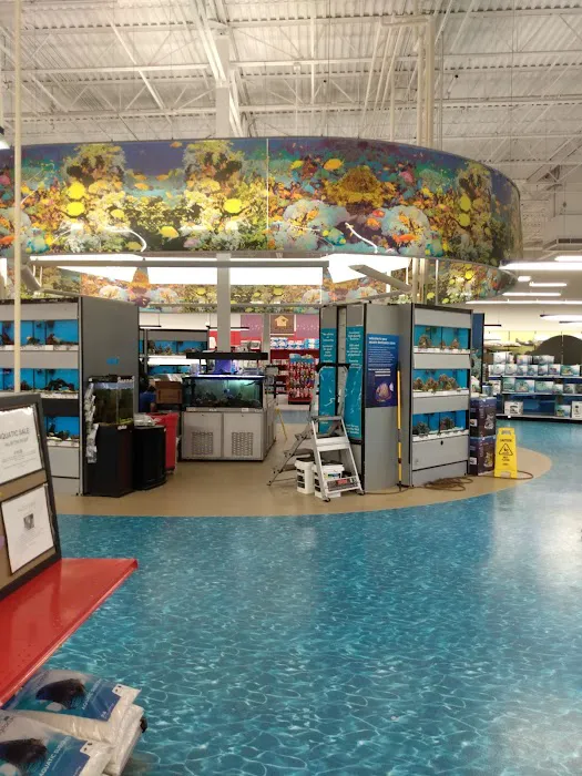 Petco Picture 2