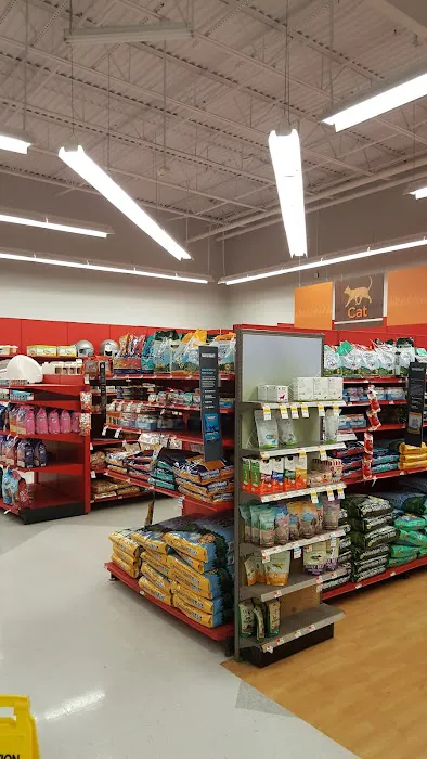 Petco Picture 7