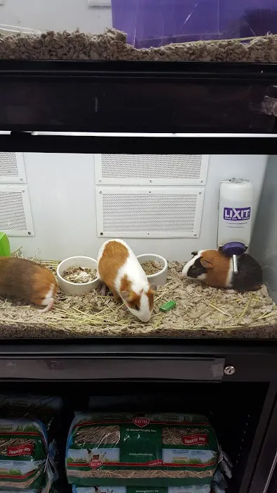 Petco Picture 6