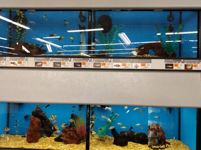 Petco Picture 8