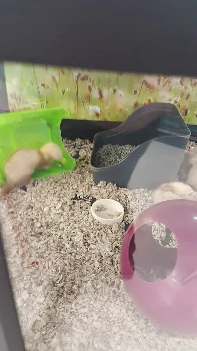 Petco Picture 9