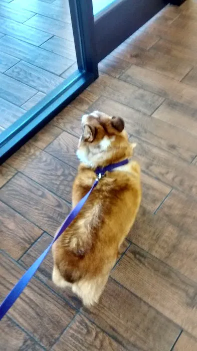 Friendly Paws Vet Clinic Picture 6