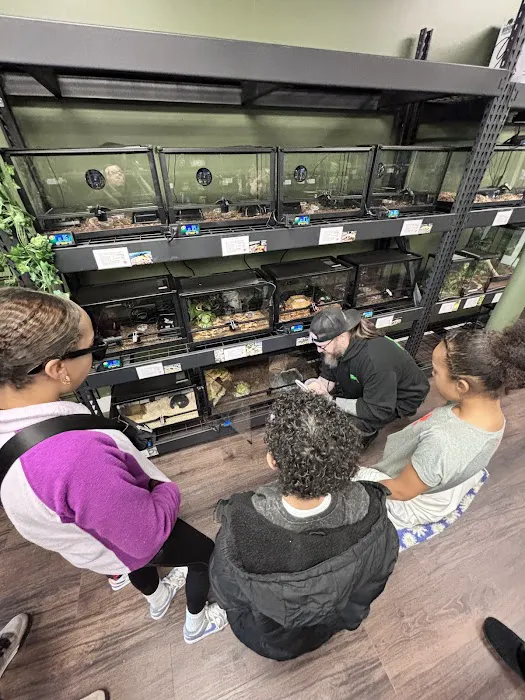 Showcase Reptiles Picture 3