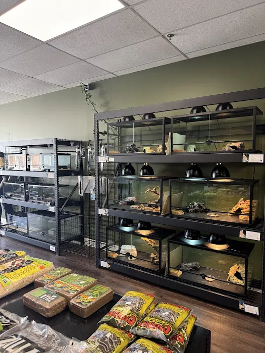 Showcase Reptiles Picture 8