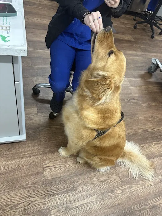 PetVet Vaccination Clinic Picture 8