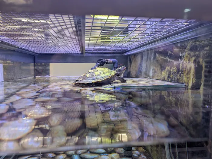 Petco Picture 1