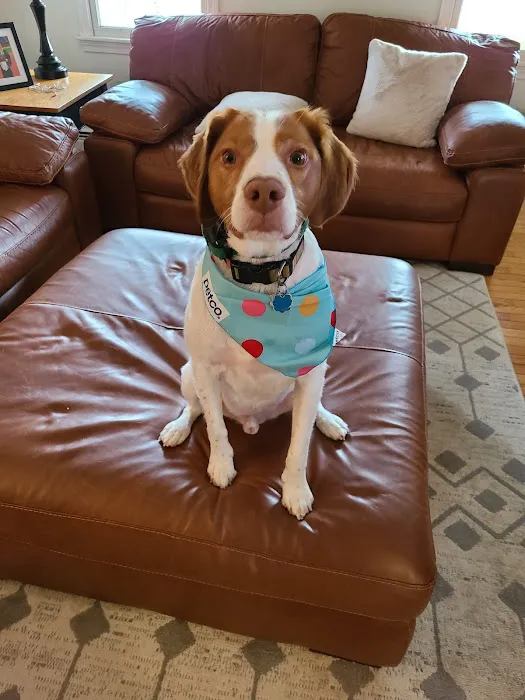 Petco Picture 4