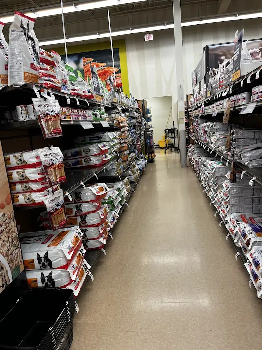 Petco Picture 8